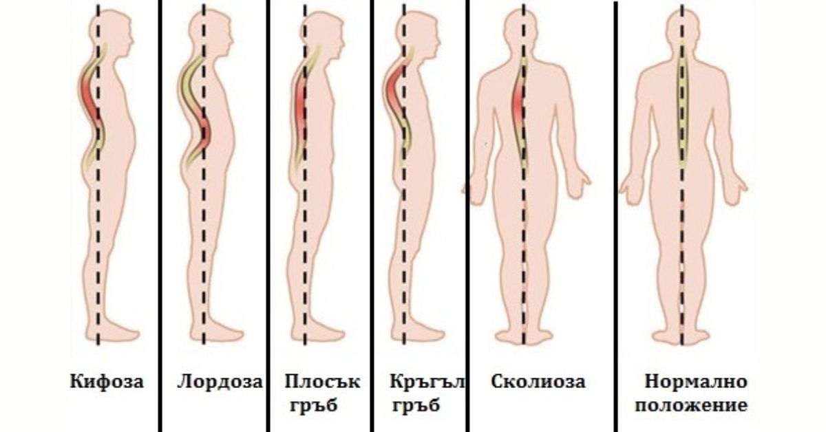 Heal Fit Gymnastics в БНТ „Здравето отблизо“